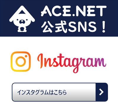 ACE.NET 公式SNS！