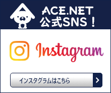 ACE.NET 公式SNS！